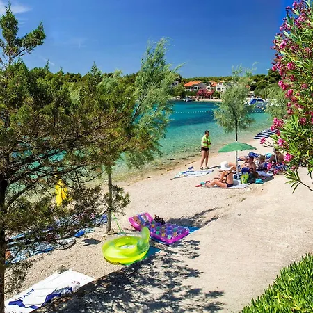 Grebastica 4207b * Baselovici